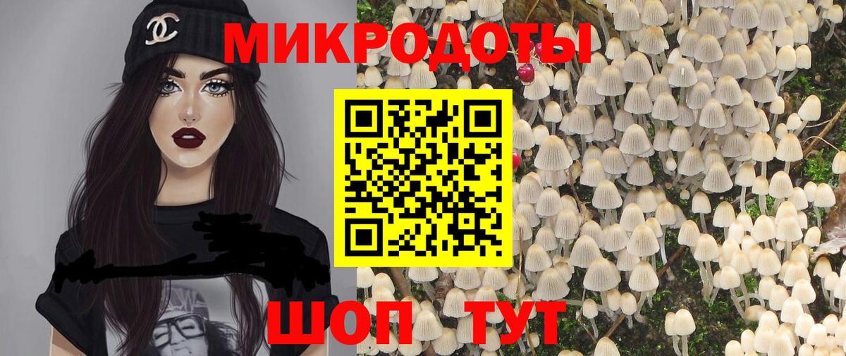 Псилоцибиновые грибы Cubensis Назарово