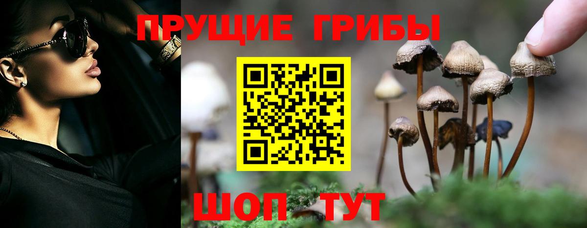Назарово  Галлюциногенные грибы Psilocybe  магазин  наркотиков  Вход с VPN  Псилоцибиновые грибы MAGIC MUSHROOMS 