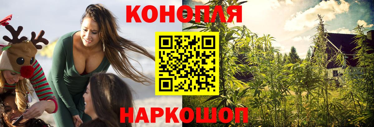 Шишки марихуана тримм  Марихуана планчик  Назарово  МАРИХУАНА конопля  Вход с VPN 